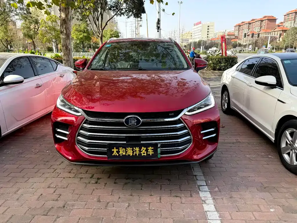 BYD Tang New Energy 2021 из CN, фото 2