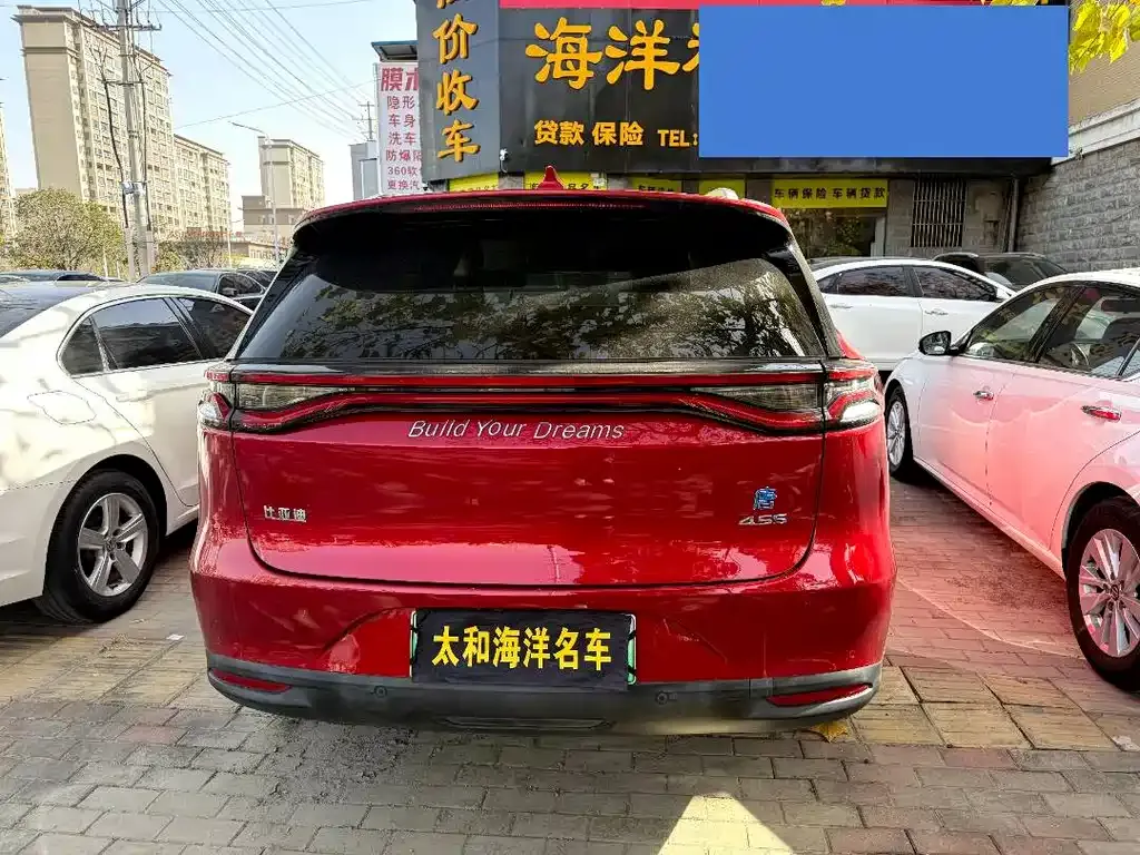 BYD Tang New Energy 2021 из CN, фото 8