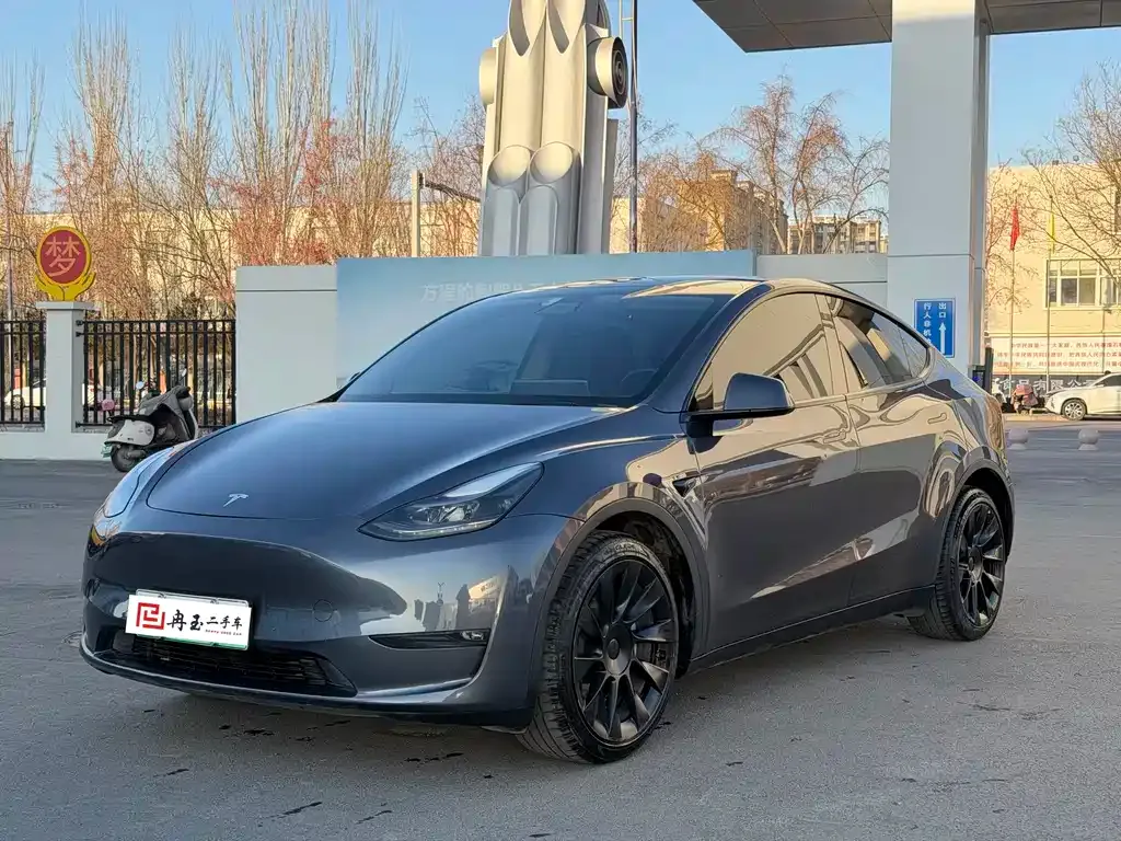 Tesla Model Y 2021 из CN, фото 1
