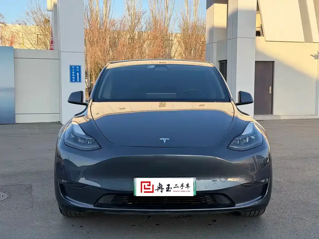 Tesla Model Y 2021 из CN, фото 7