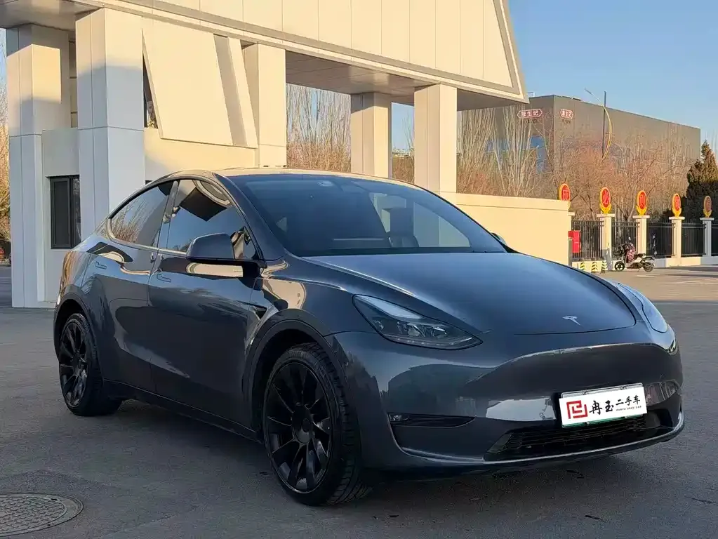 Tesla Model Y 2021 из CN, фото 9