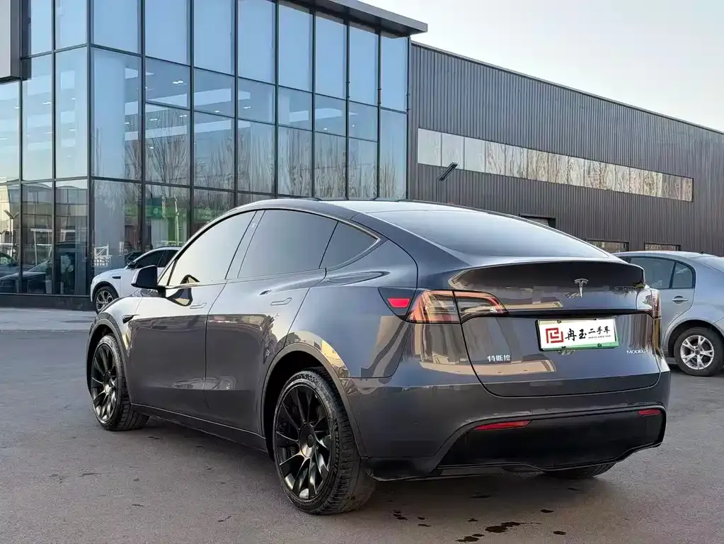 Tesla Model Y 2021 из CN, фото 6