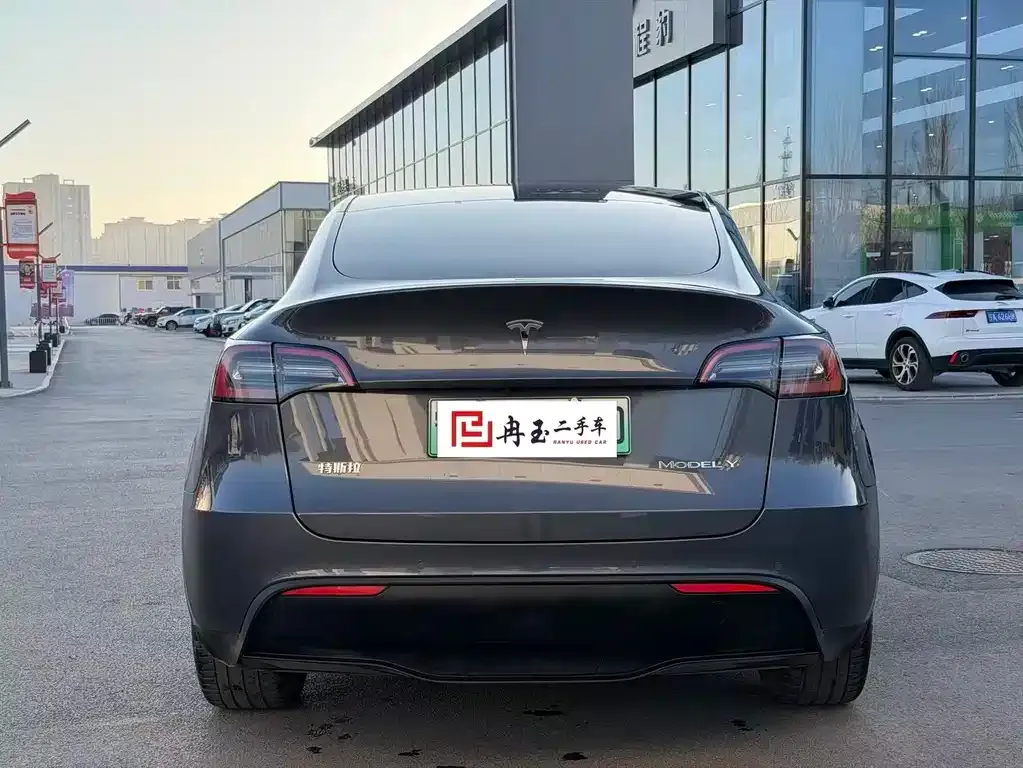 Tesla Model Y 2021 из CN, фото 5