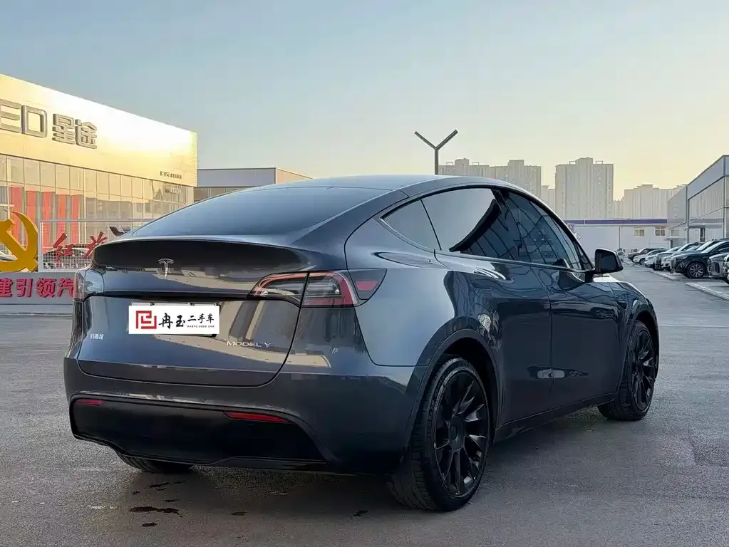 Tesla Model Y 2021 из CN, фото 8