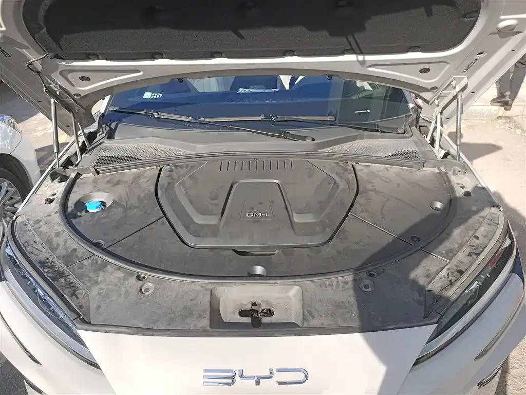 BYD PLUS New Energy 2023 из CN, фото 4