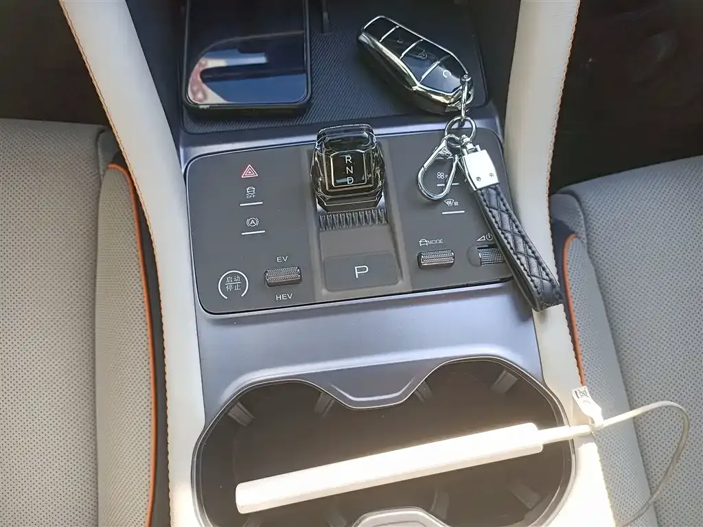 BYD PLUS New Energy 2023 из CN, фото 6