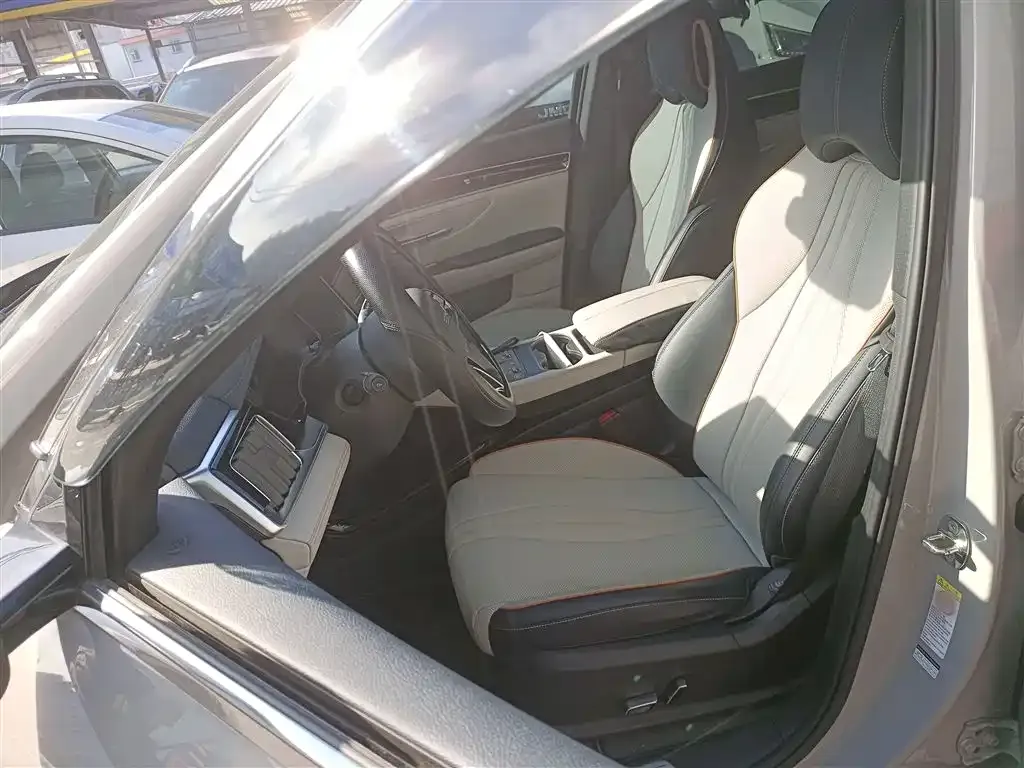 BYD PLUS New Energy 2023 из CN, фото 7