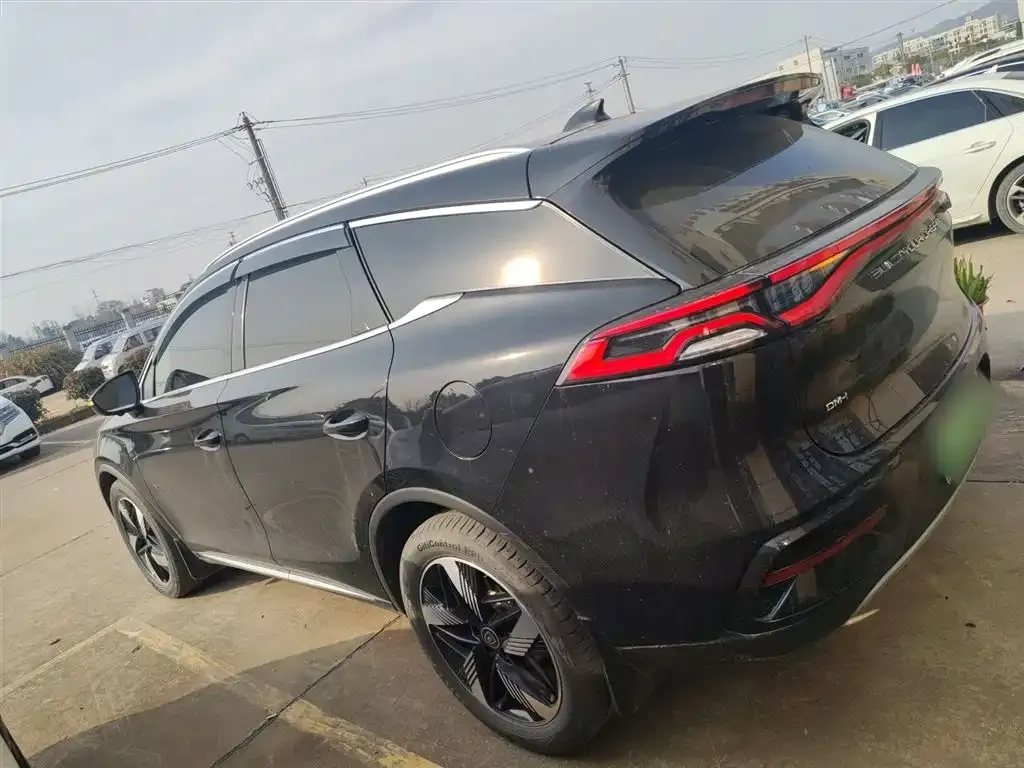 BYD Tang New Energy 2023 из CN, фото 10
