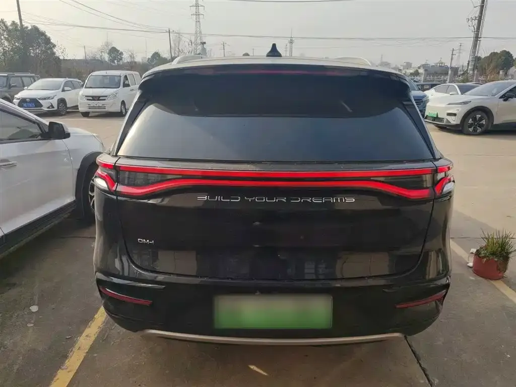 BYD Tang New Energy 2023 из CN, фото 6