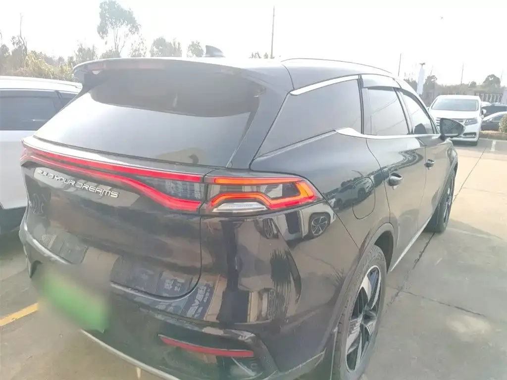 BYD Tang New Energy 2023 из CN, фото 2