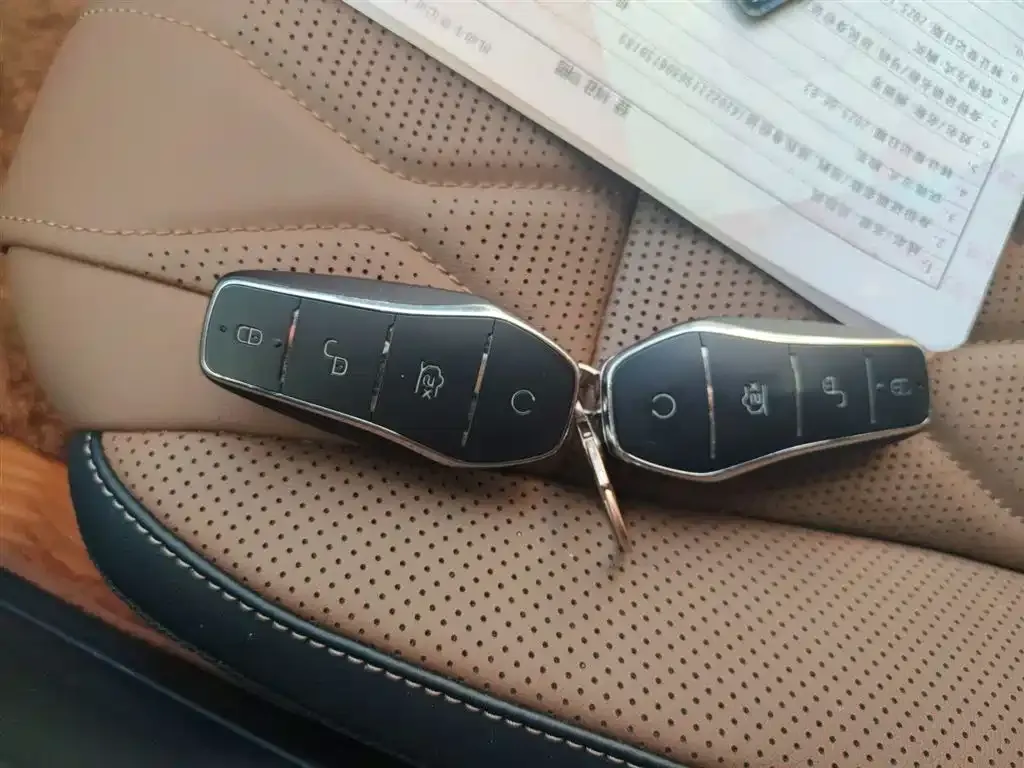 BYD Tang New Energy 2023 из CN, фото 4