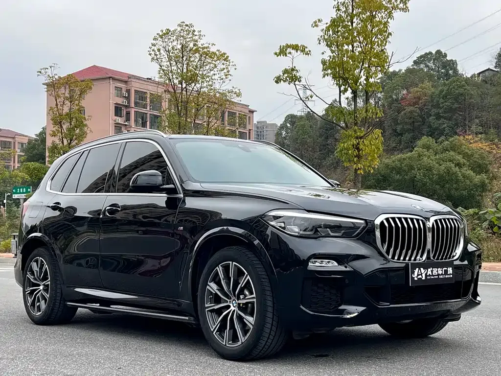 BMW X5 (Import) 2021 из CN, фото 4