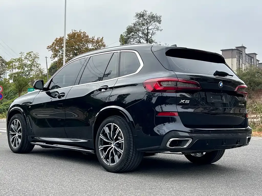 BMW X5 (Import) 2021 из CN, фото 6
