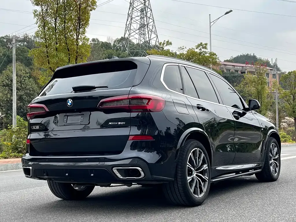 BMW X5 (Import) 2021 из CN, фото 5