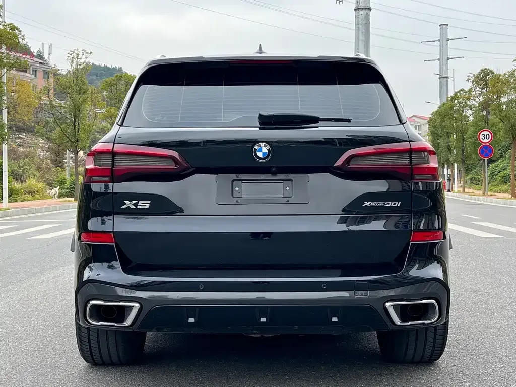 BMW X5 (Import) 2021 из CN, фото 3