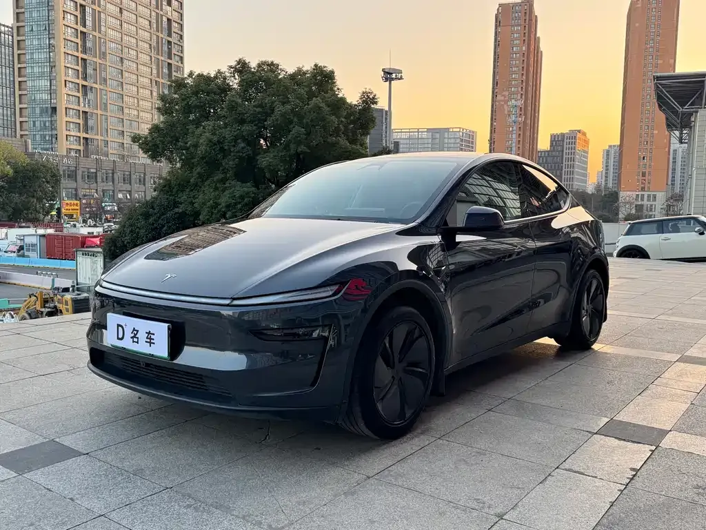 Tesla Model Y 2025 из CN, фото 1