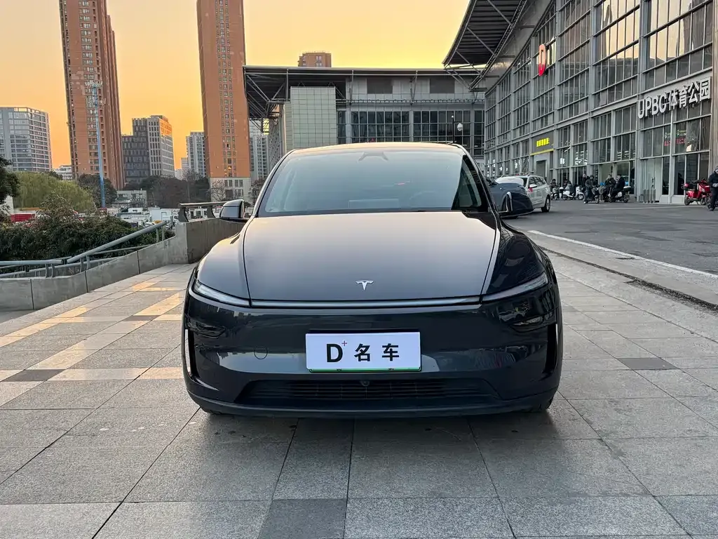 Tesla Model Y 2025 из CN, фото 2