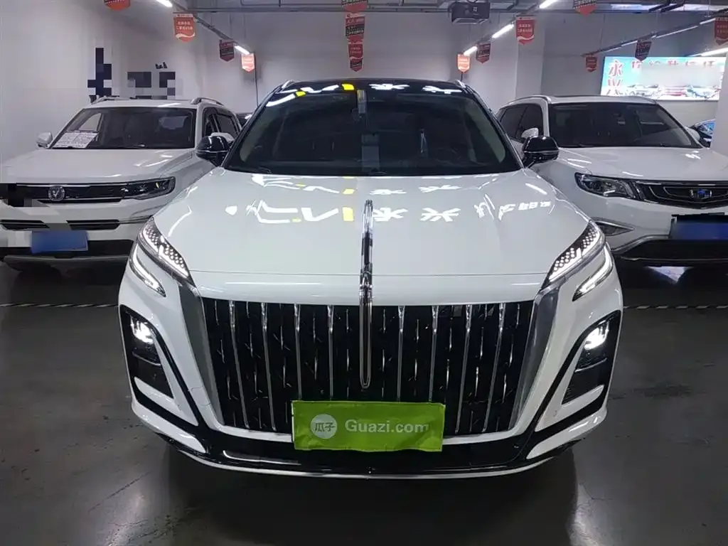 Hongqi HS3 2023 из CN, фото 8