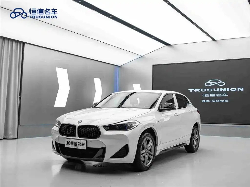 BMW X2 2023 из CN, фото 10