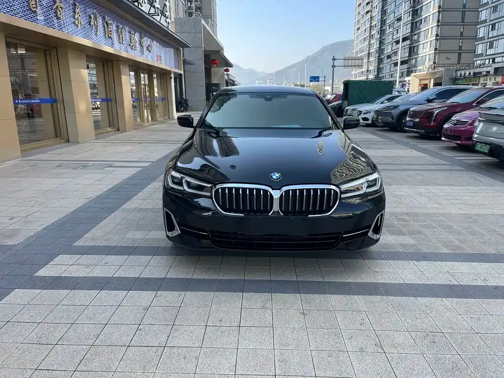 BMW 5 Series 2023 из CN, фото 6