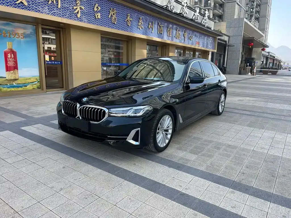 BMW 5 Series 2023 из CN, фото 9