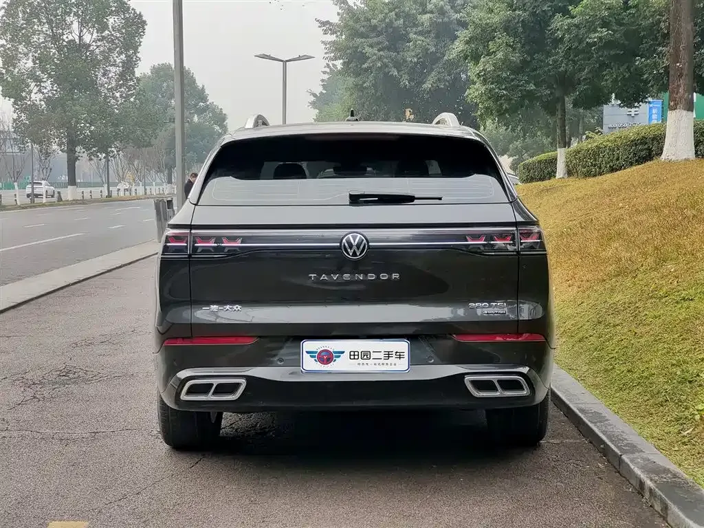 Volkswagen Tavendor 2023 из CN, фото 7