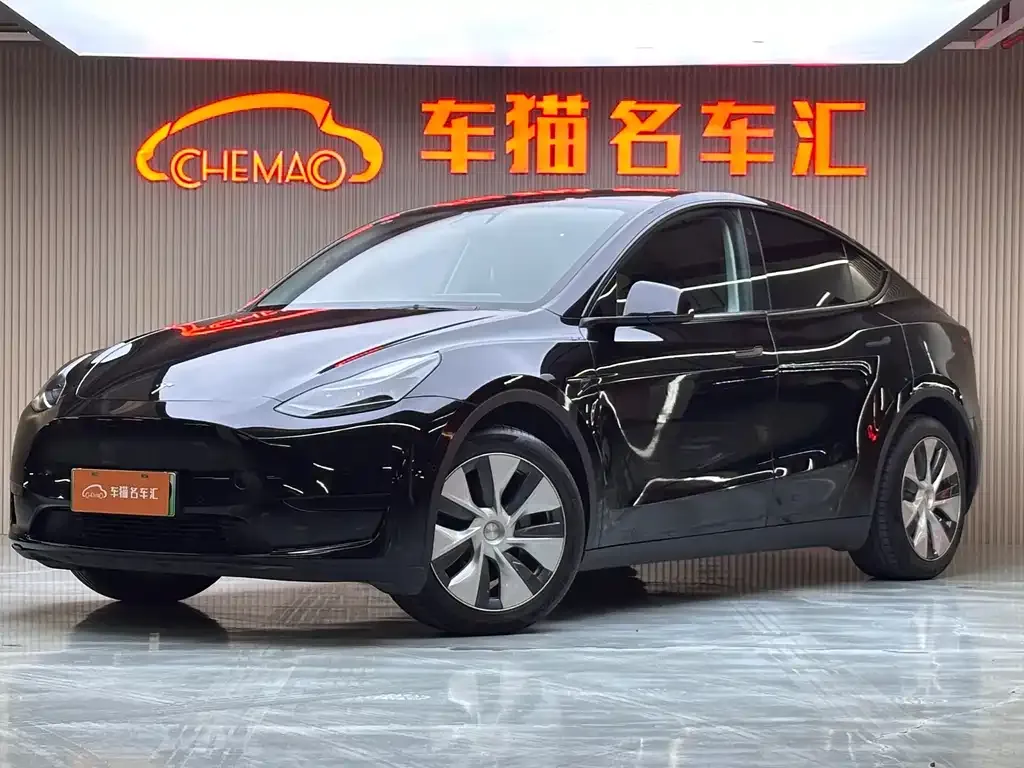 Tesla Model Y 2022 из CN, фото 1