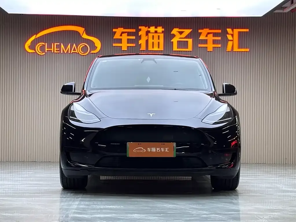 Tesla Model Y 2022 из CN, фото 6