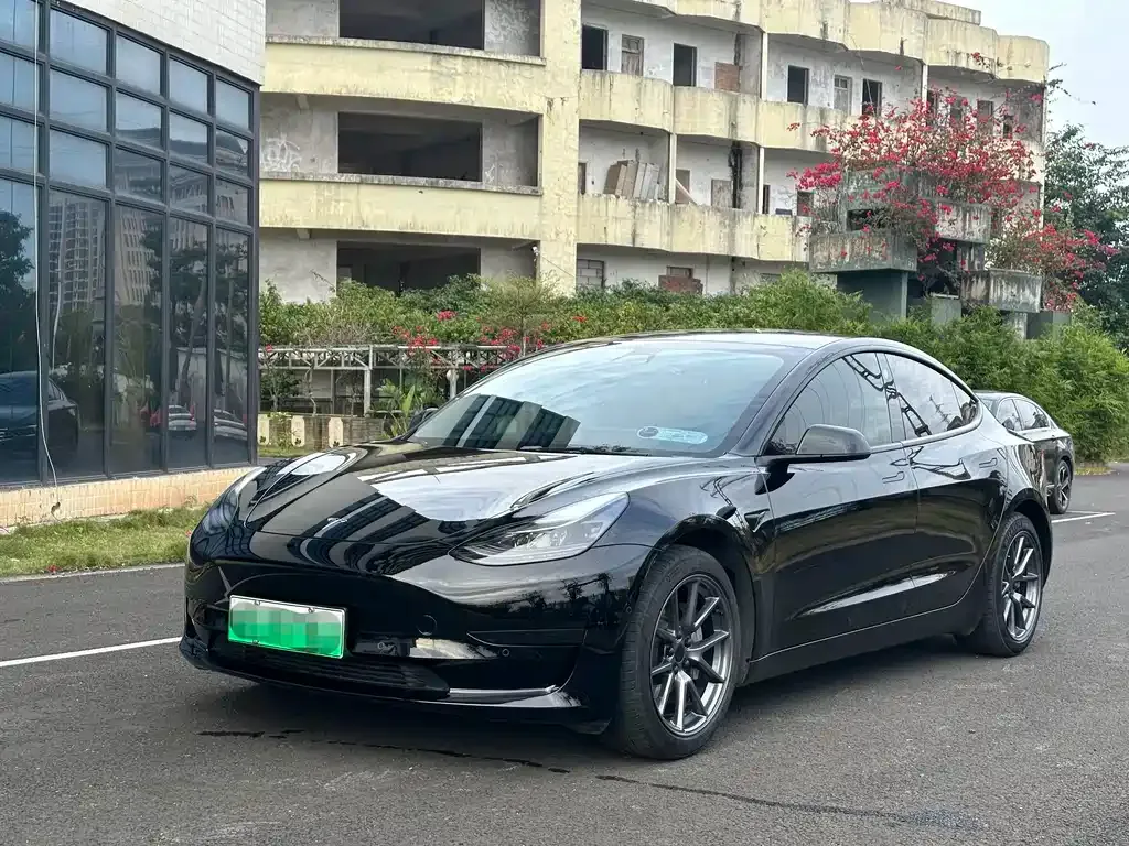 Tesla Model 3 2021 из CN, фото 2
