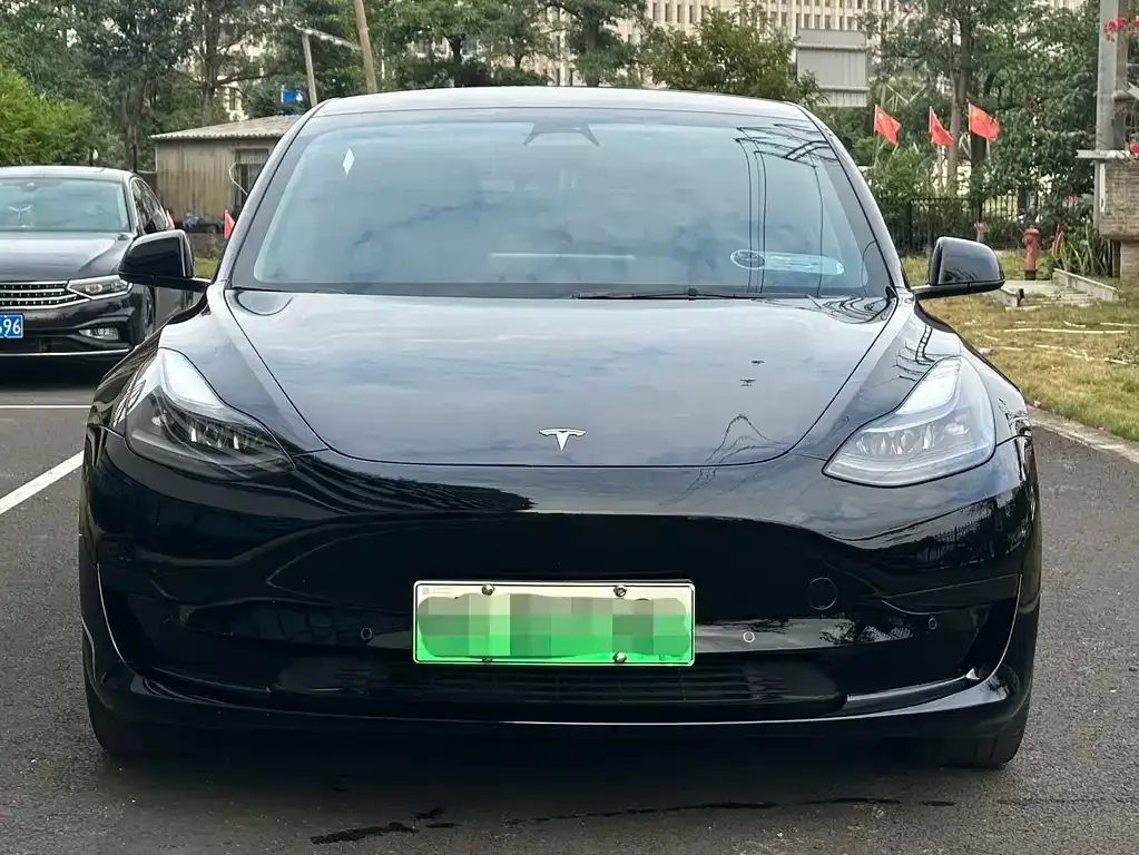 Tesla Model 3 2021 из CN, фото 3