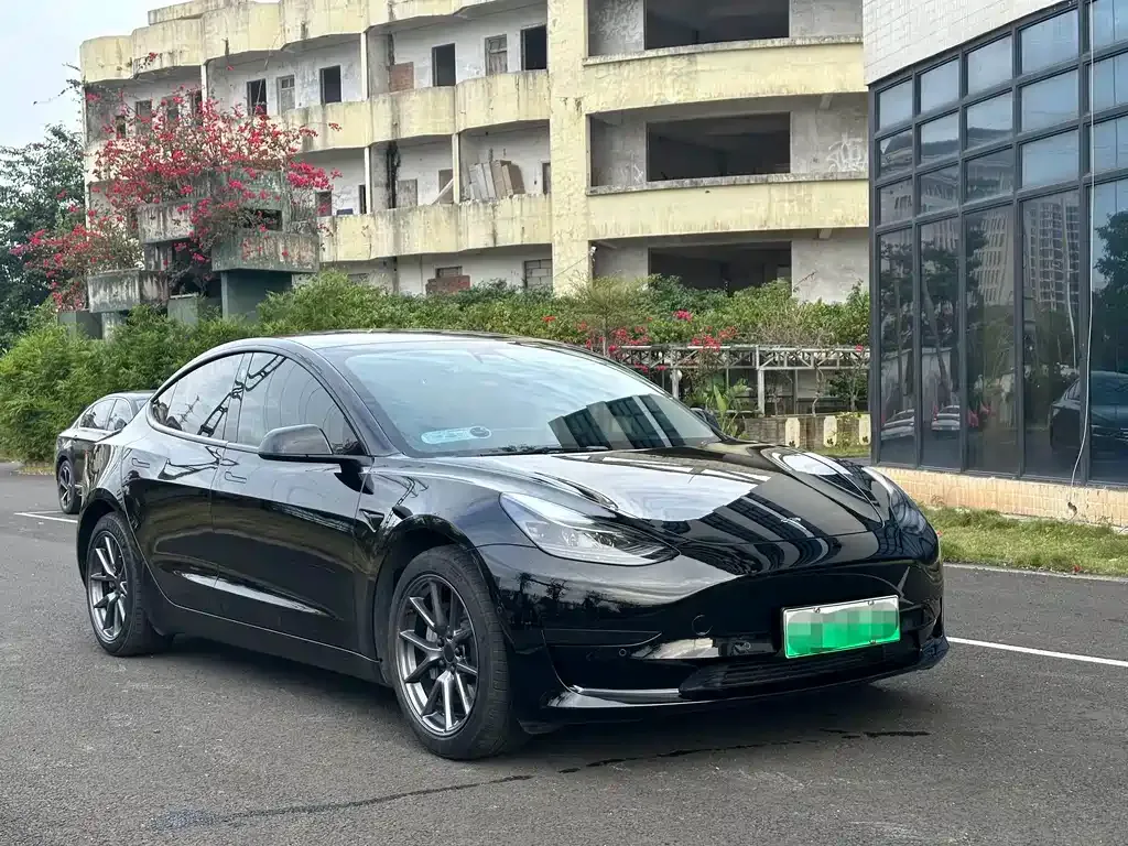 Tesla Model 3 2021 из CN, фото 4