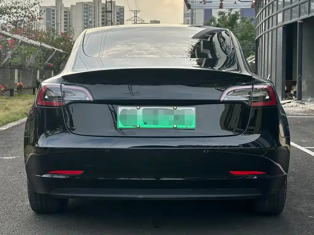 Tesla Model 3 2021 из CN, фото 5