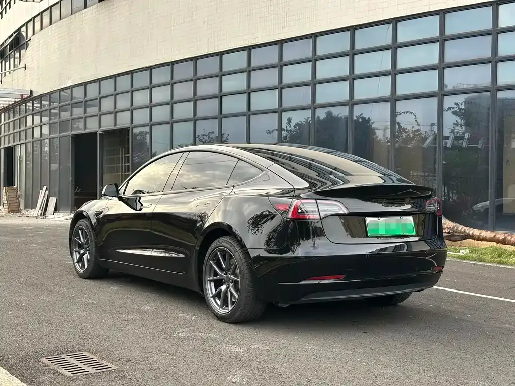 Tesla Model 3 2021 из CN, фото 6