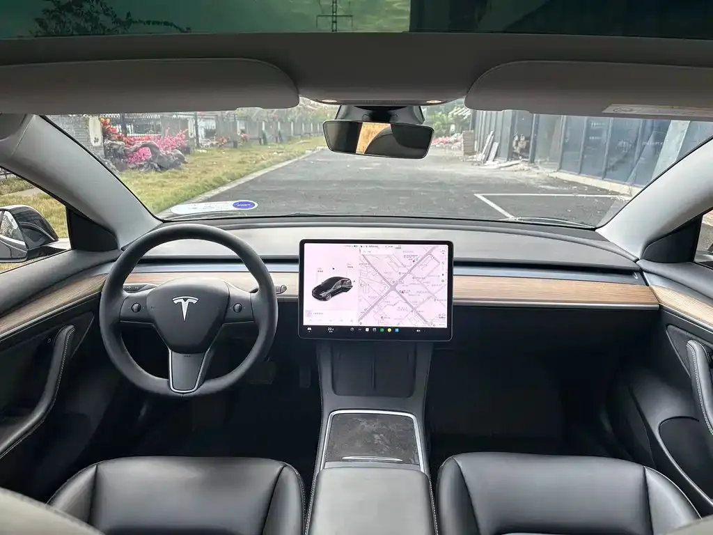 Tesla Model 3 2021 из CN, фото 9