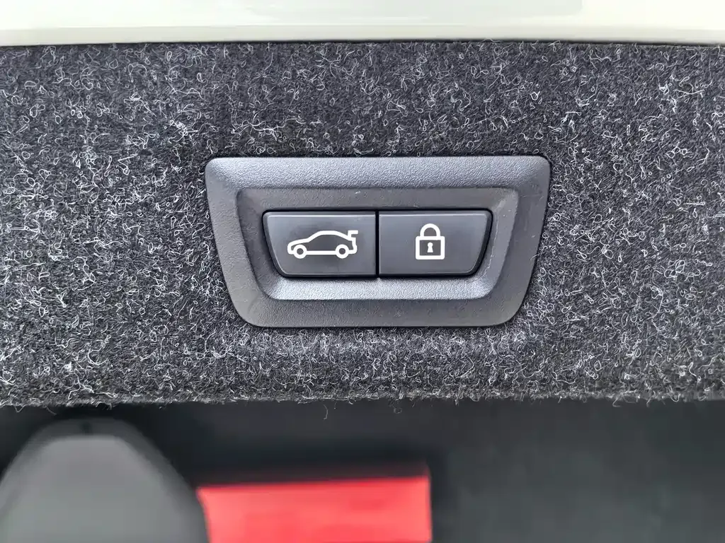 BMW 5 Series 2021 из CN, фото 9