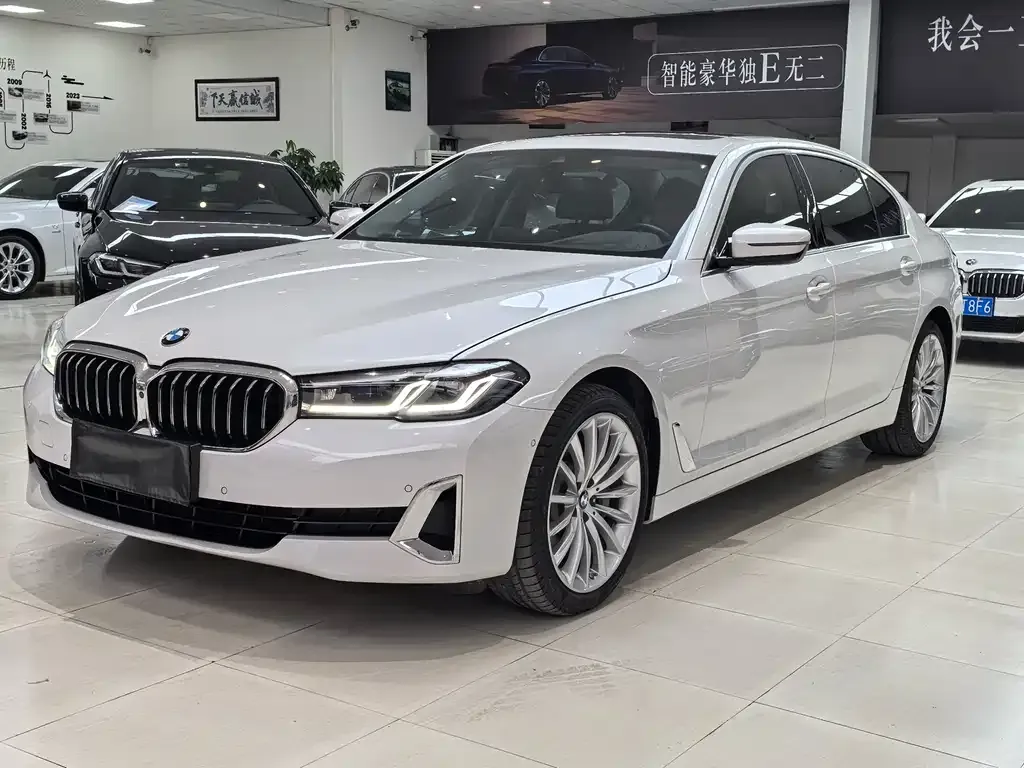 BMW 5 Series 2021 из CN, фото 10