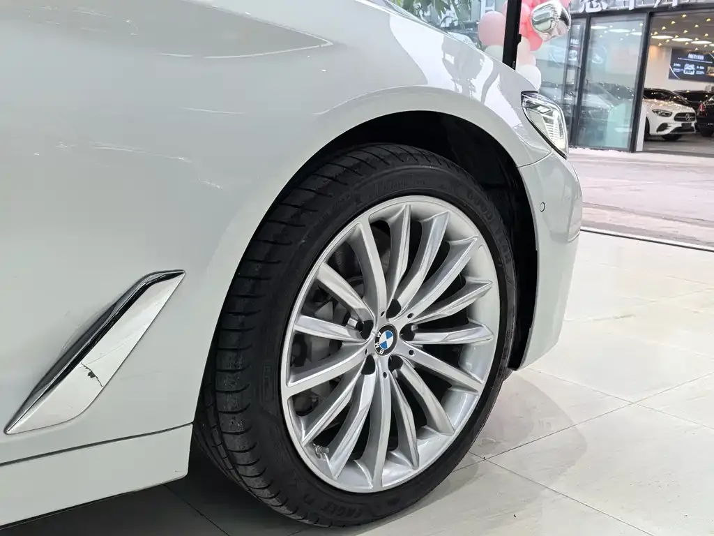 BMW 5 Series 2021 из CN, фото 4