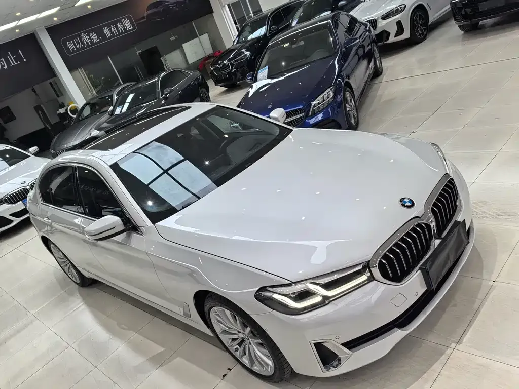 BMW 5 Series 2021 из CN, фото 7