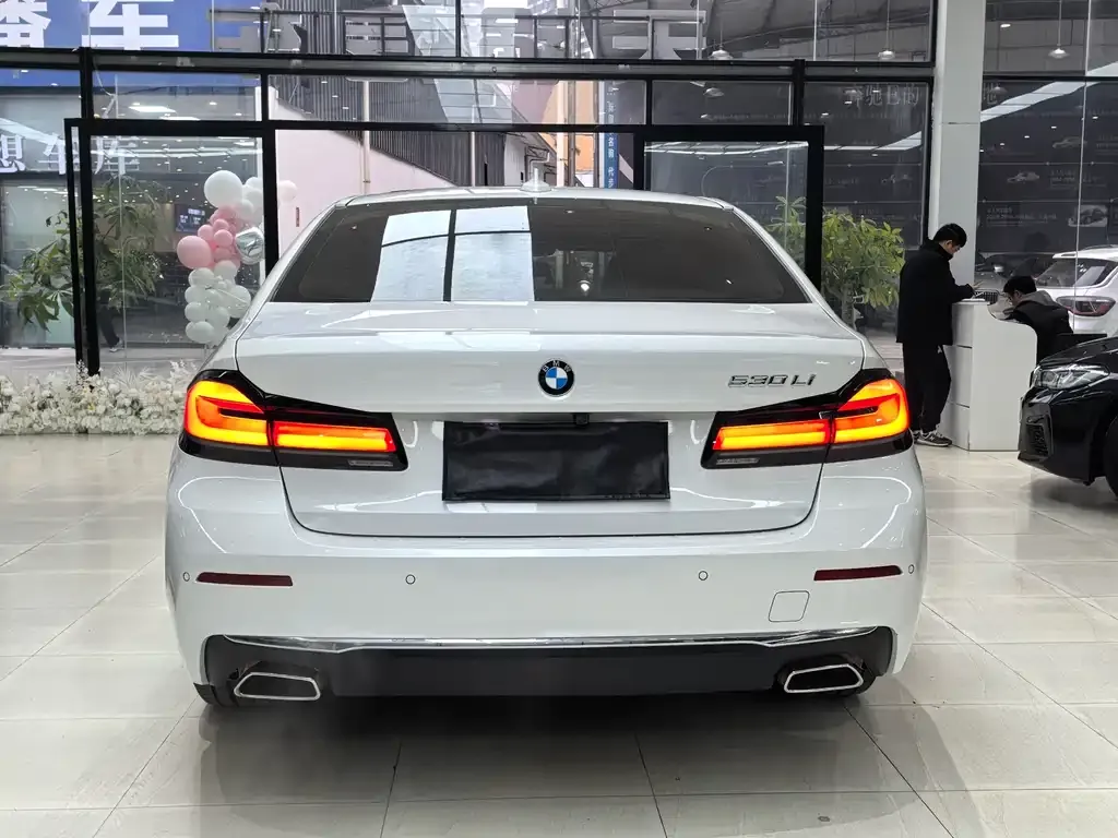 BMW 5 Series 2021 из CN, фото 5