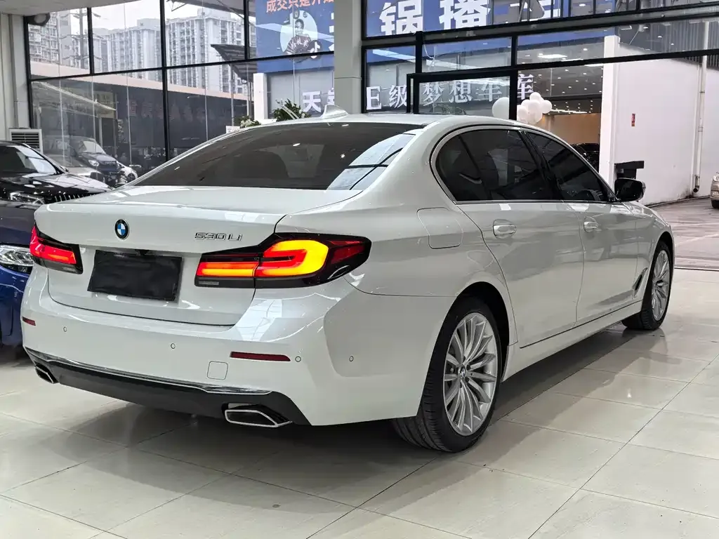 BMW 5 Series 2021 из CN, фото 8