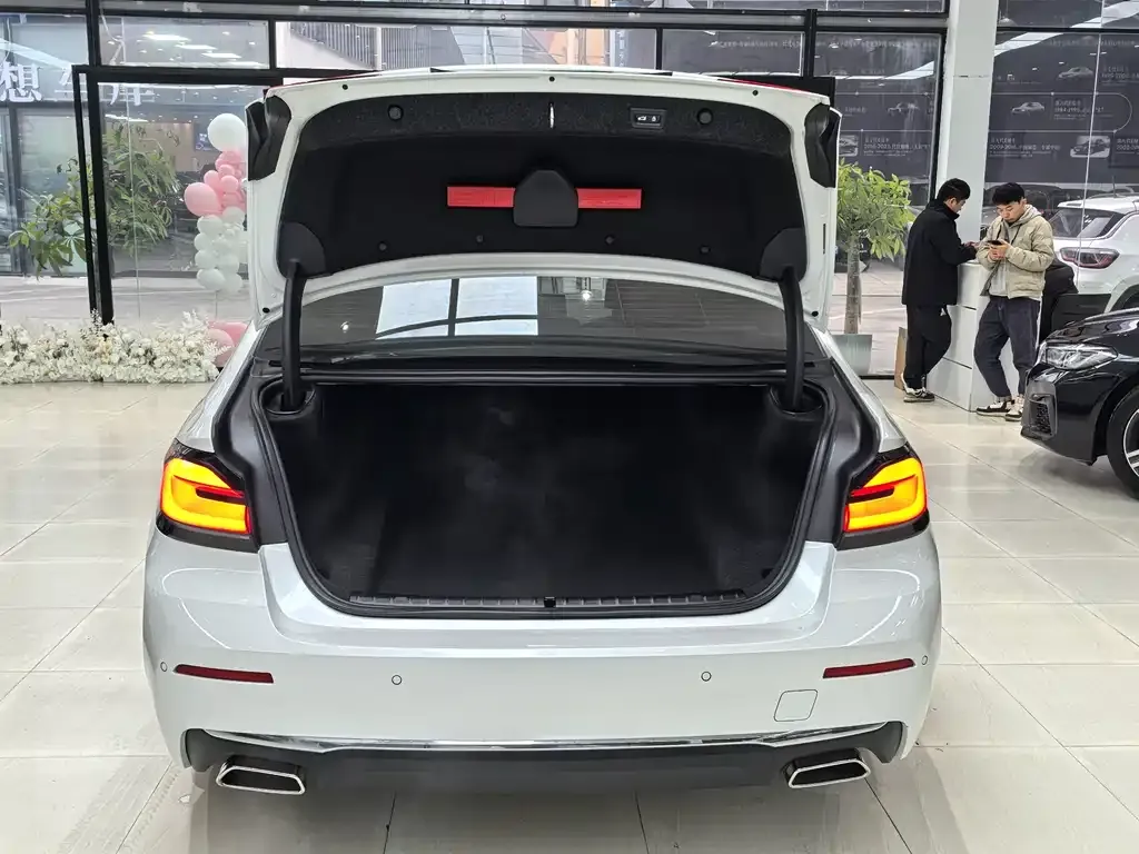 BMW 5 Series 2021 из CN, фото 6