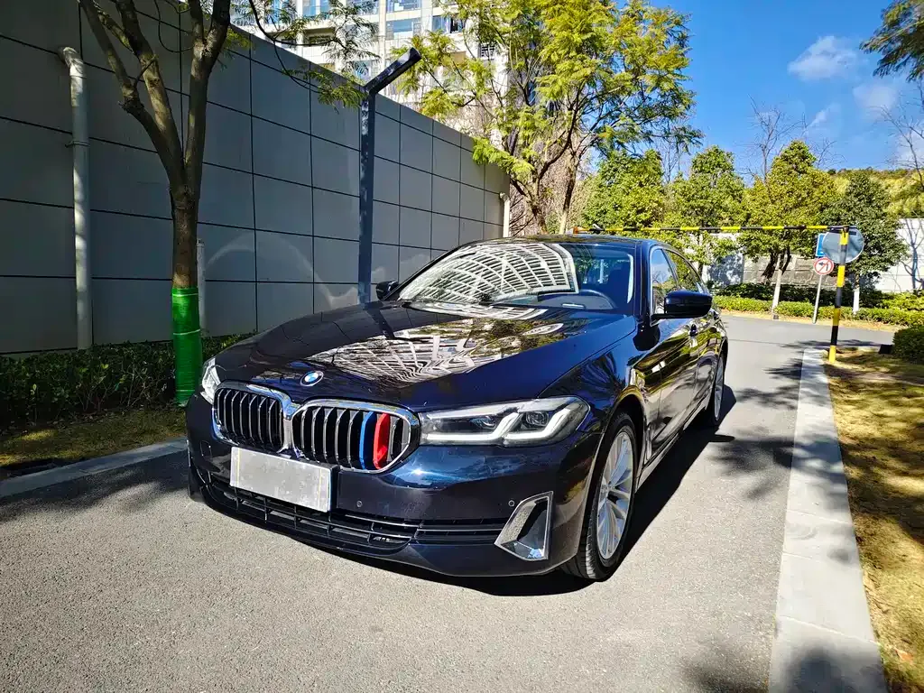BMW 5 Series 2021 из CN, фото 1