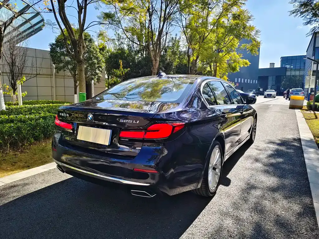 BMW 5 Series 2021 из CN, фото 9