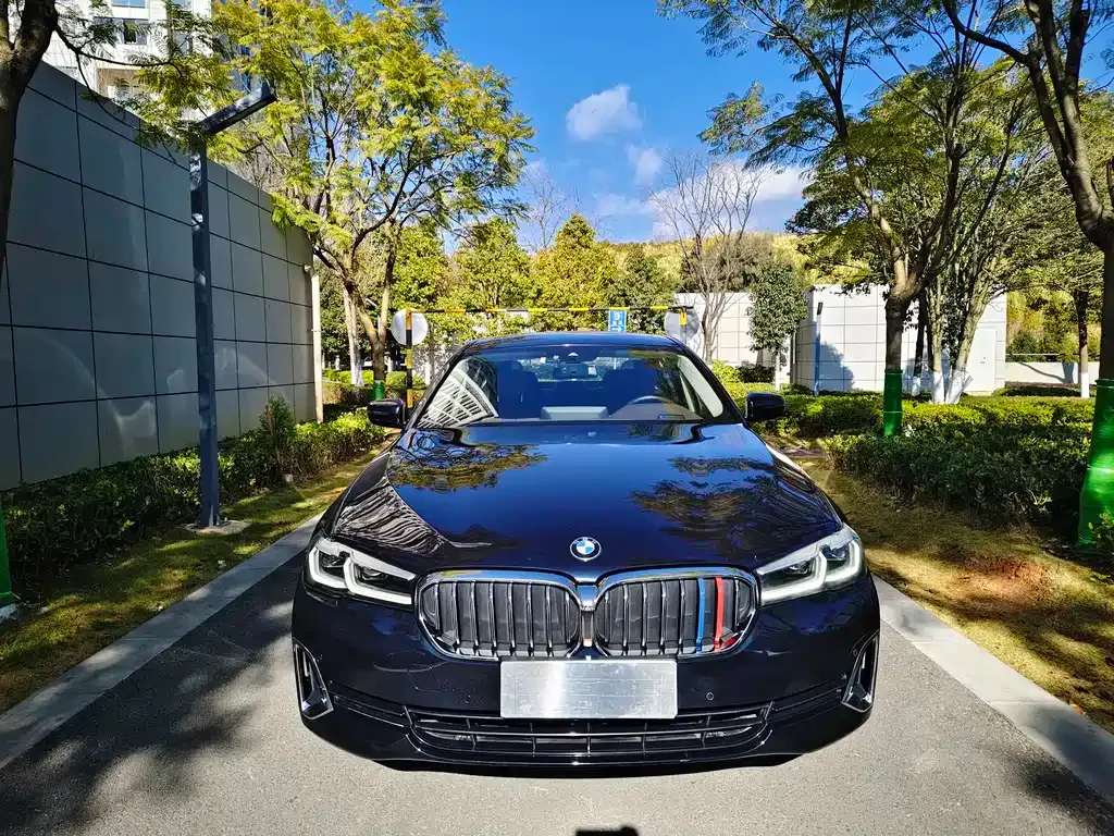 BMW 5 Series 2021 из CN, фото 4