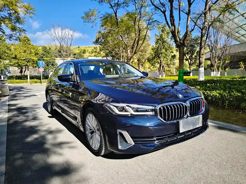 BMW 5 Series 2021 из CN, фото 10