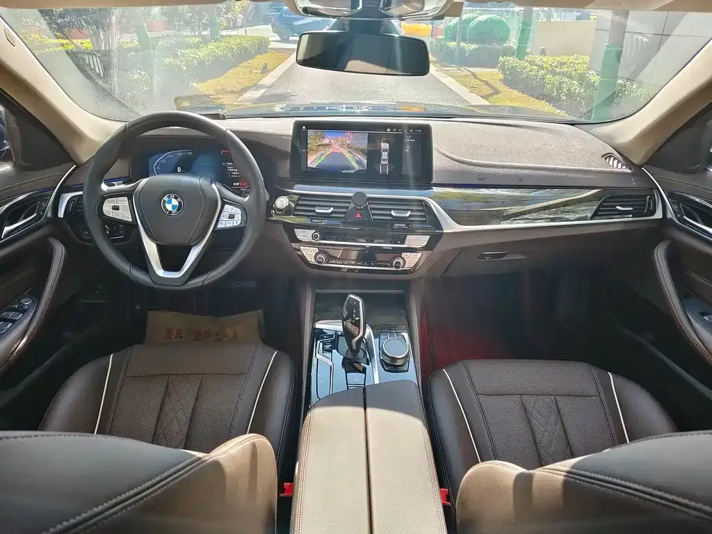 BMW 5 Series 2021 из CN, фото 3