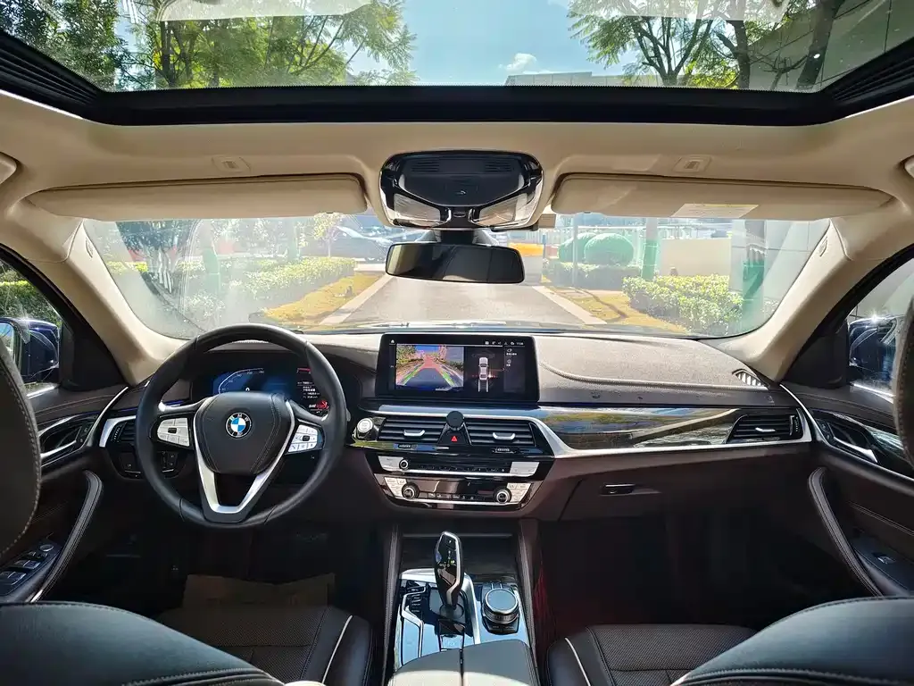 BMW 5 Series 2021 из CN, фото 8