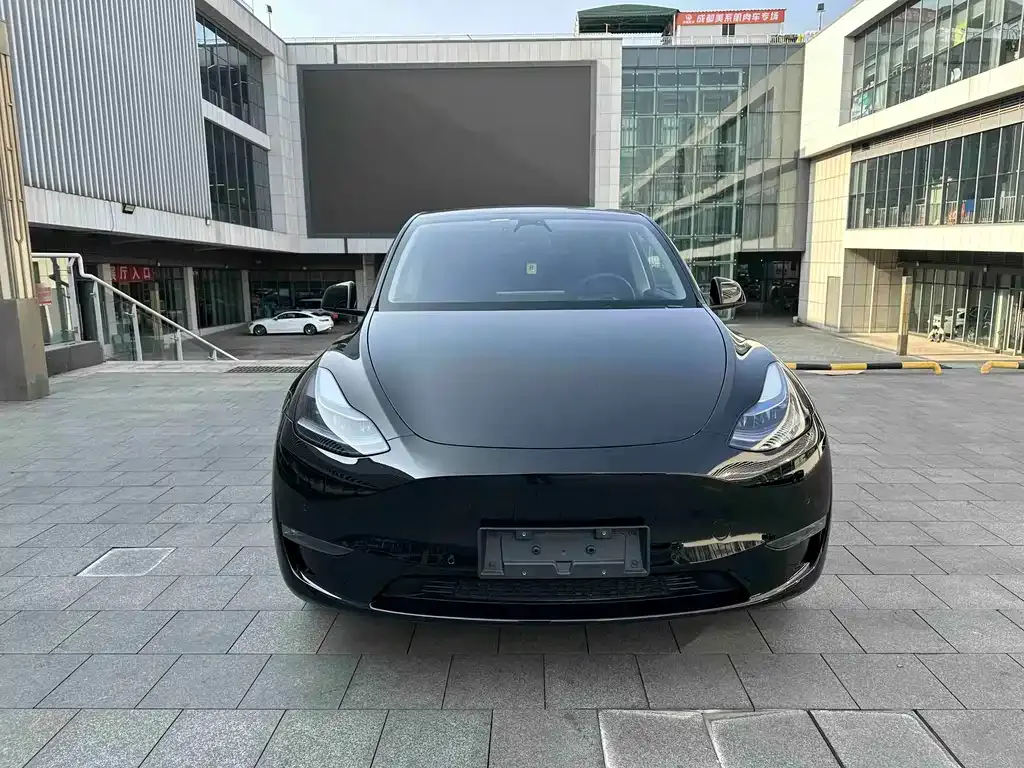Tesla Model Y 2023 из CN, фото 6