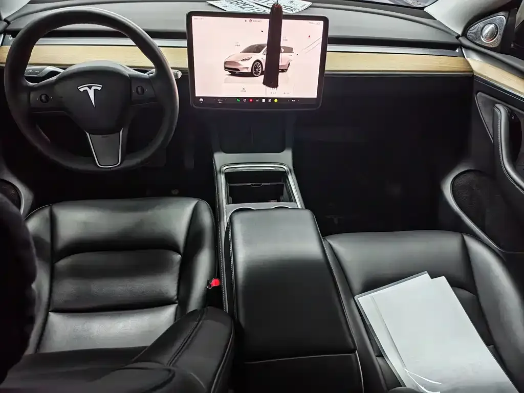 Tesla Model Y 2022 из CN, фото 4