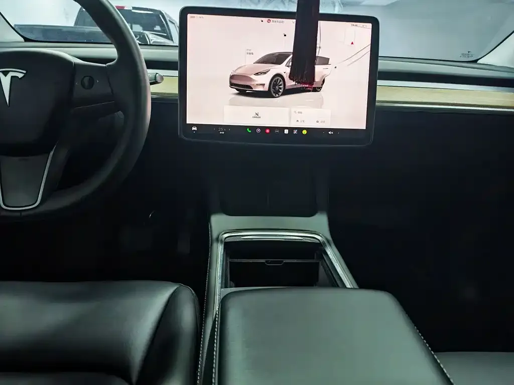 Tesla Model Y 2022 из CN, фото 6